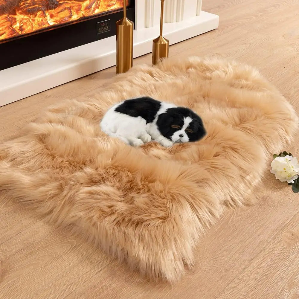 ELOVIA™ Ultra Soft Shaggy Area Rug
